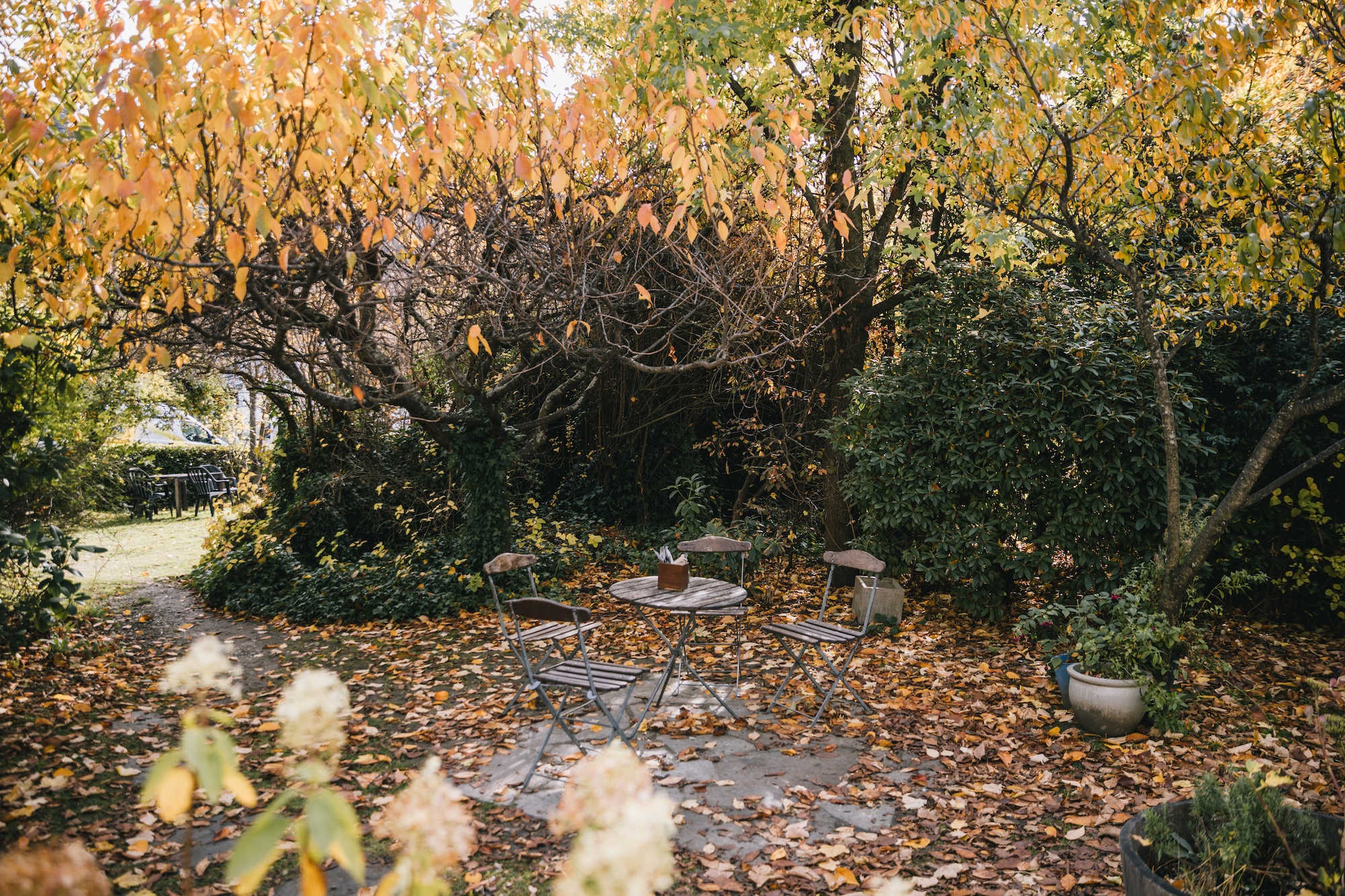 Arrowtown in autumn
