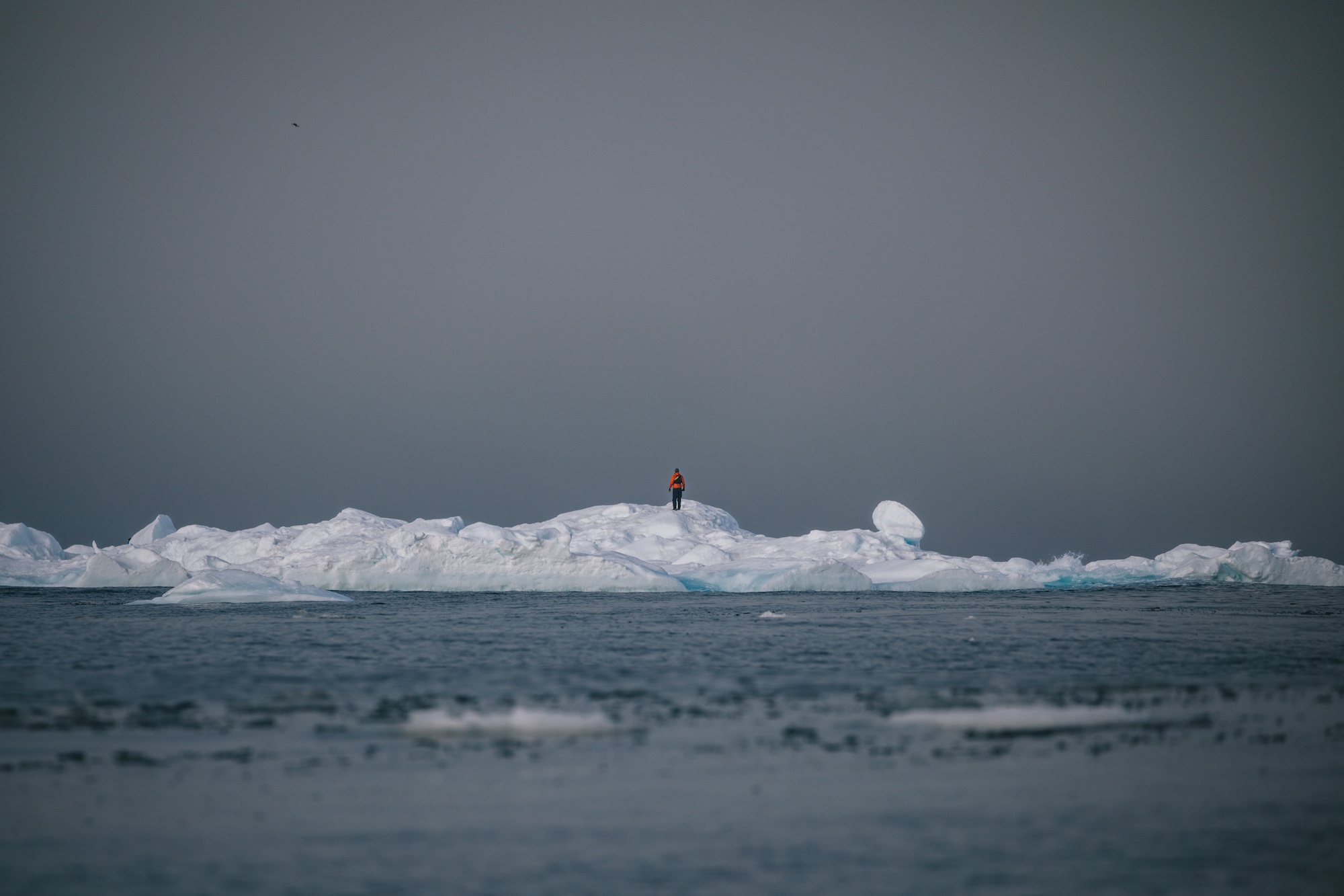 Visit the Arctic