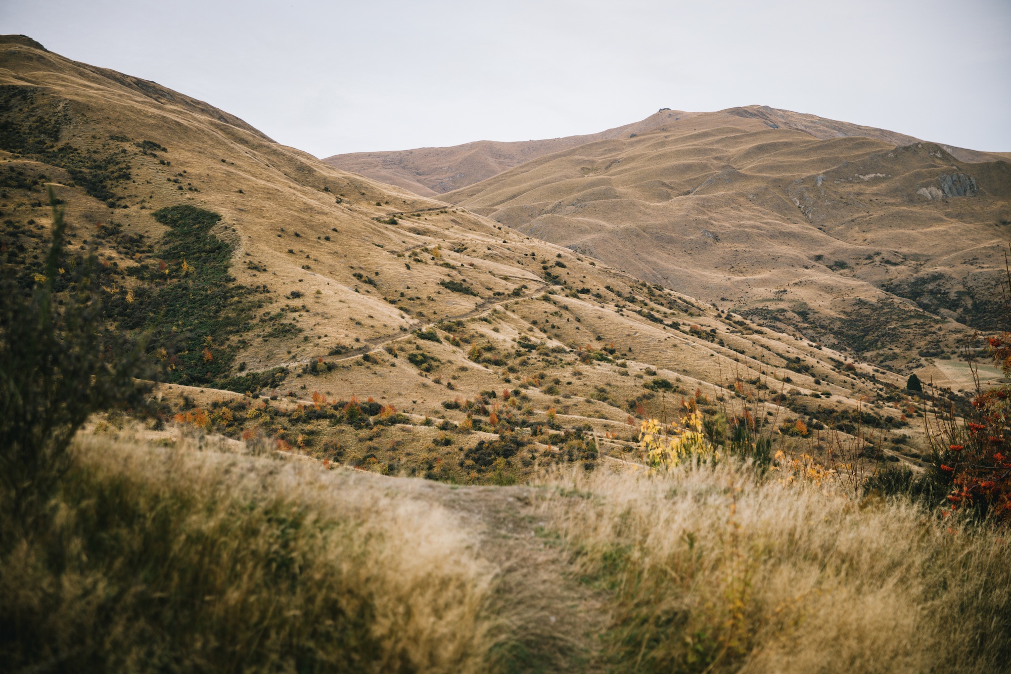 Arrowtown in autumn