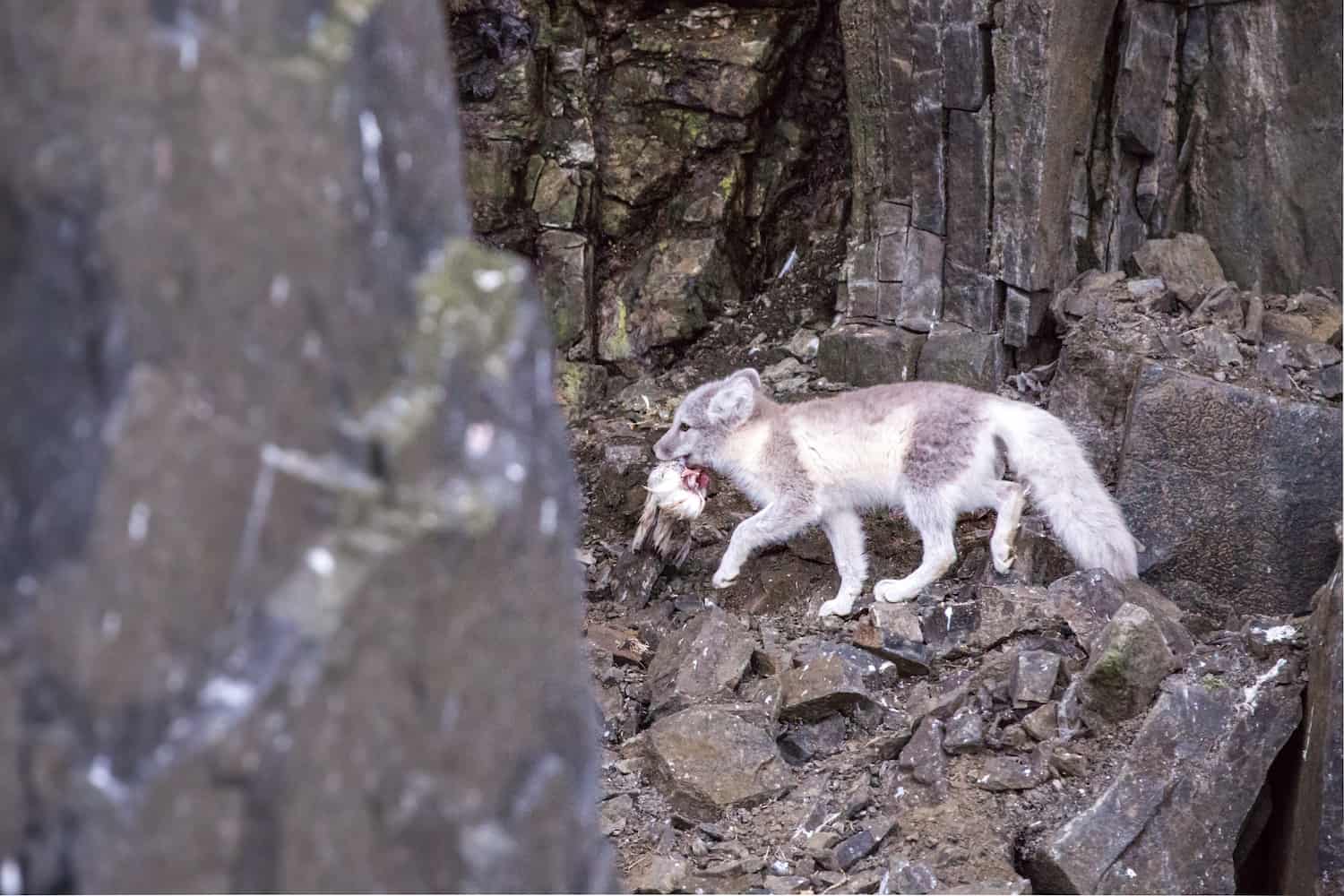 visit svalbard