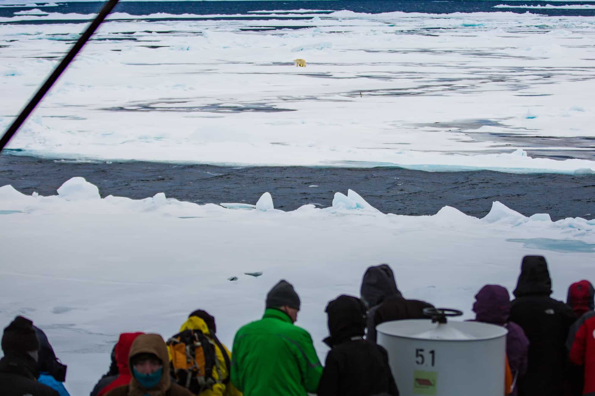 svalbard his dark materials