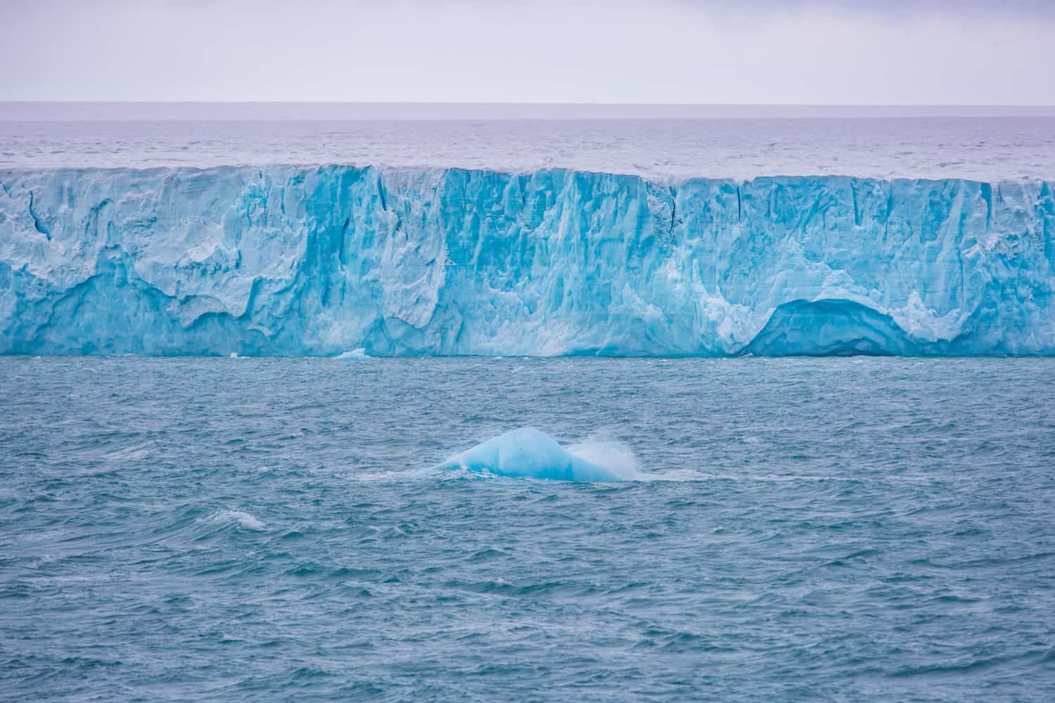 visit svalbard
