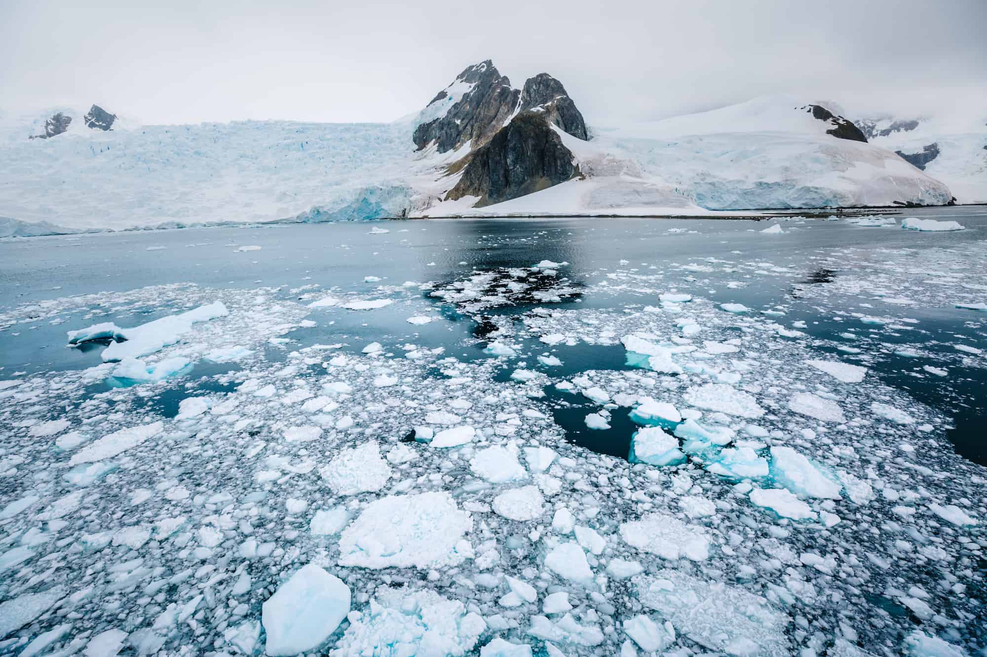 Antarctic explorers