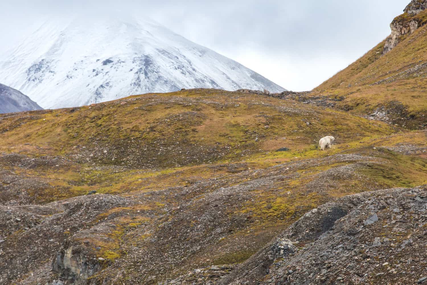 visit svalbard