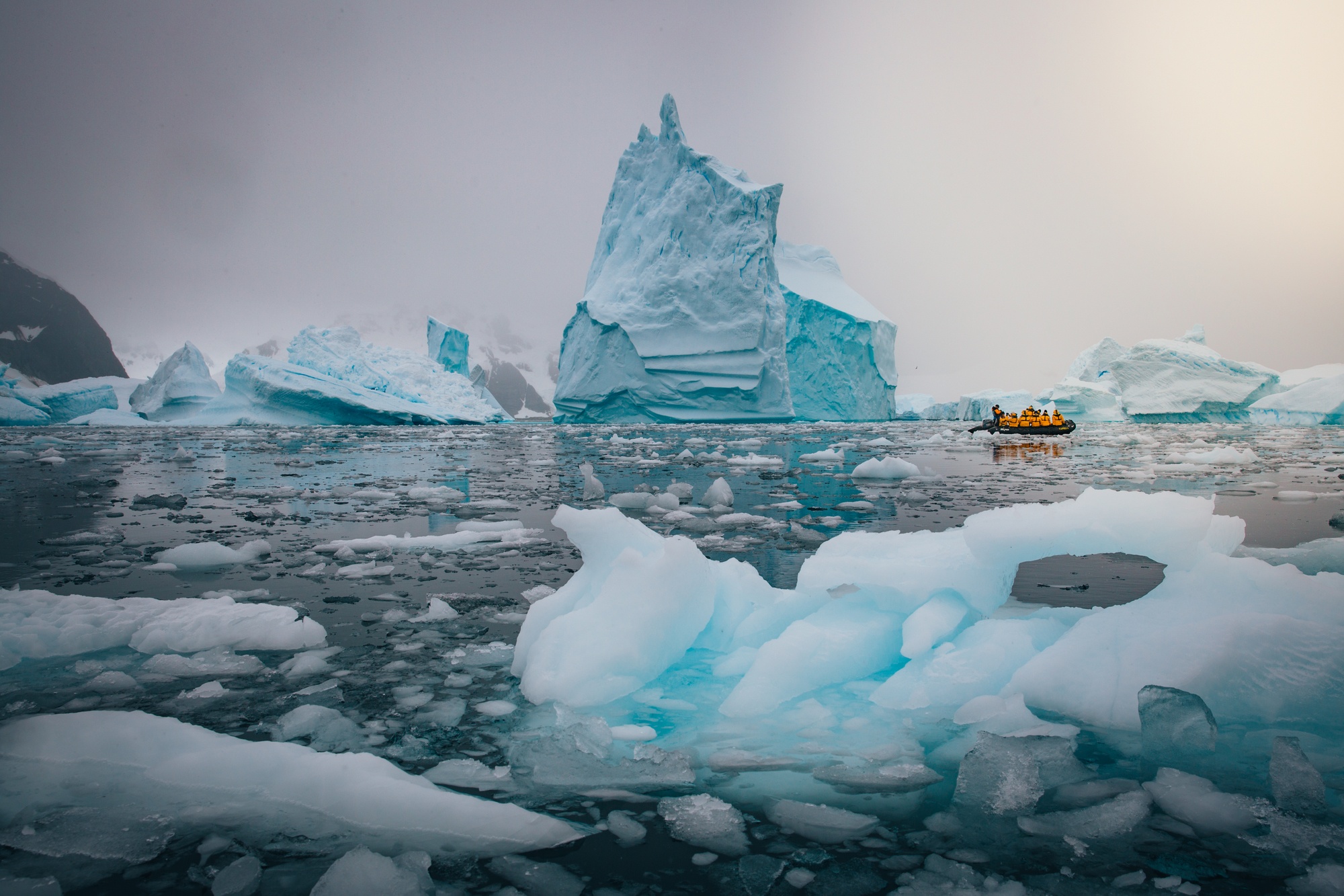 antarctic studies