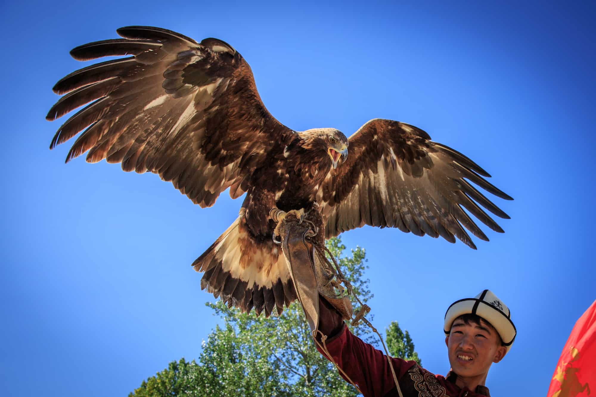 eagle hunting