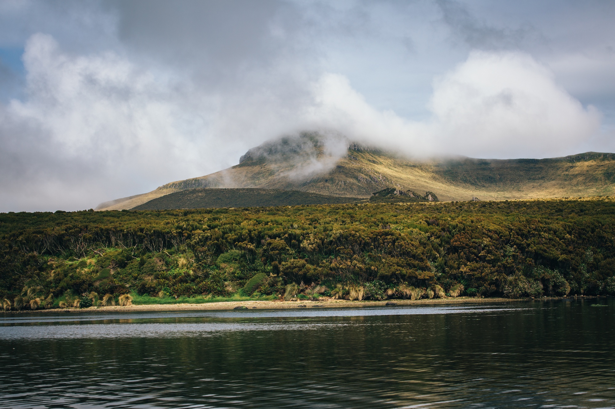 campbell island
