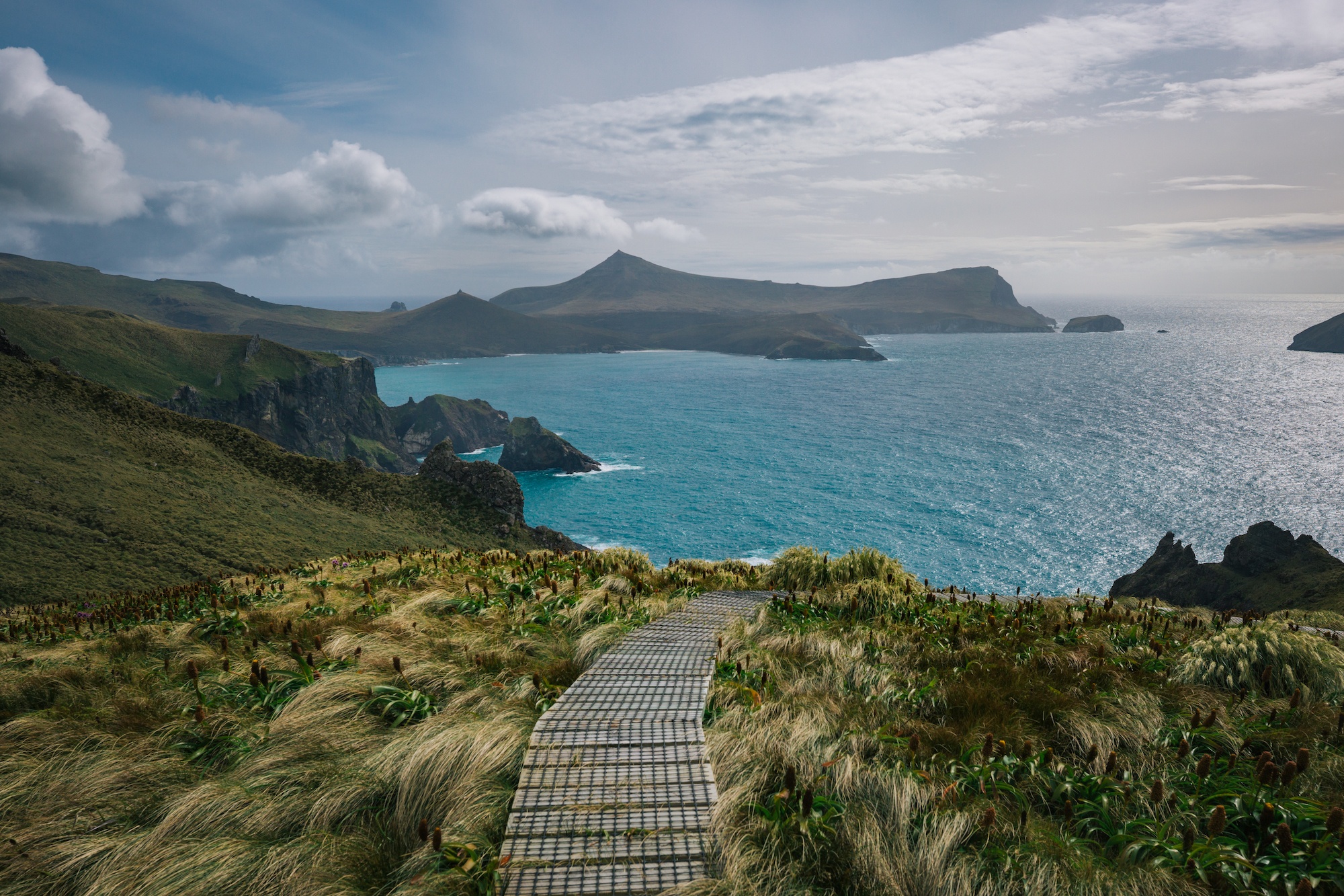 campbell island