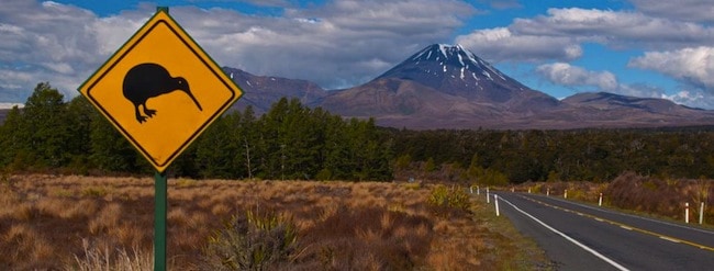 new zealand slang