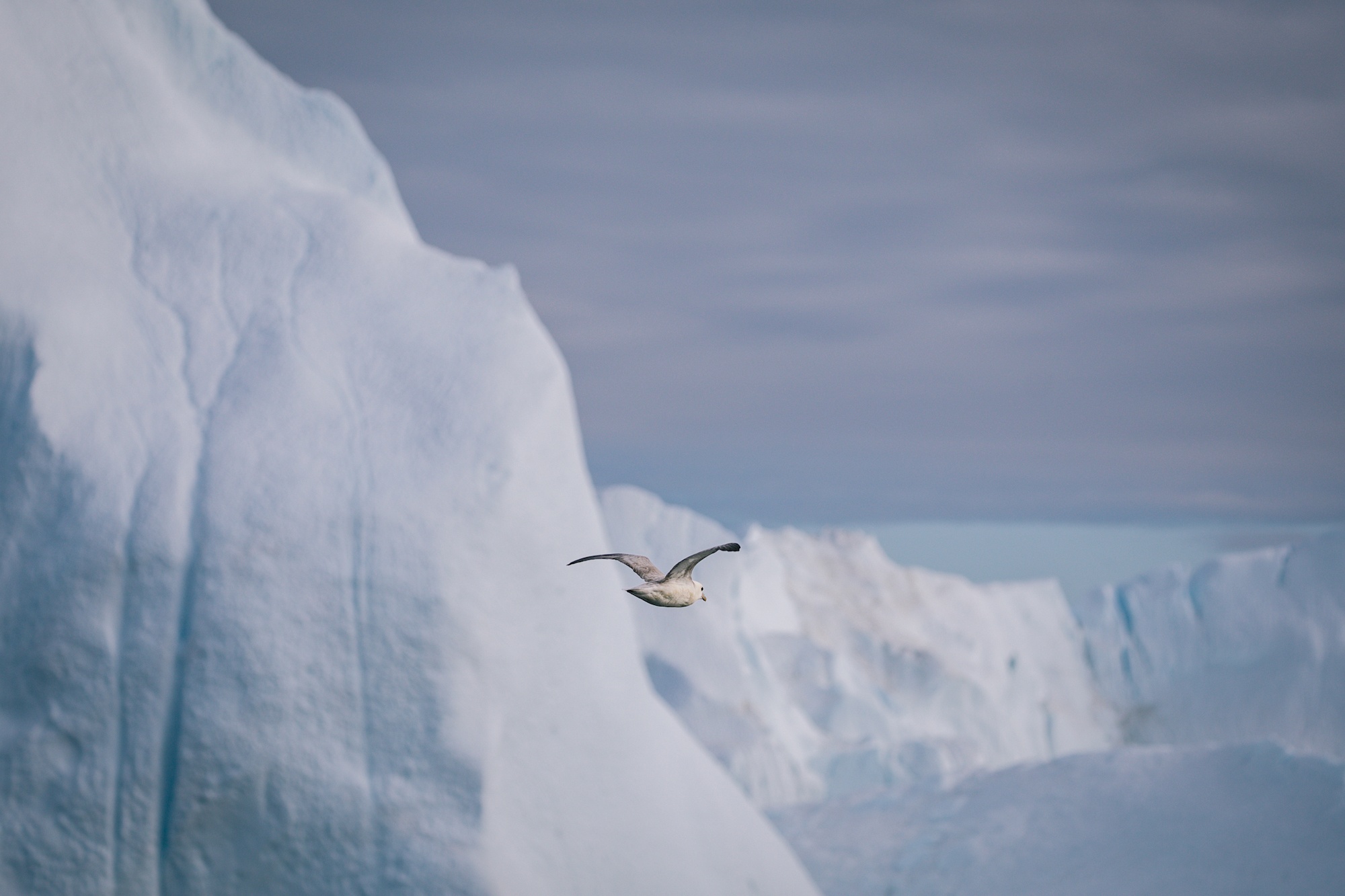 Ilulissat