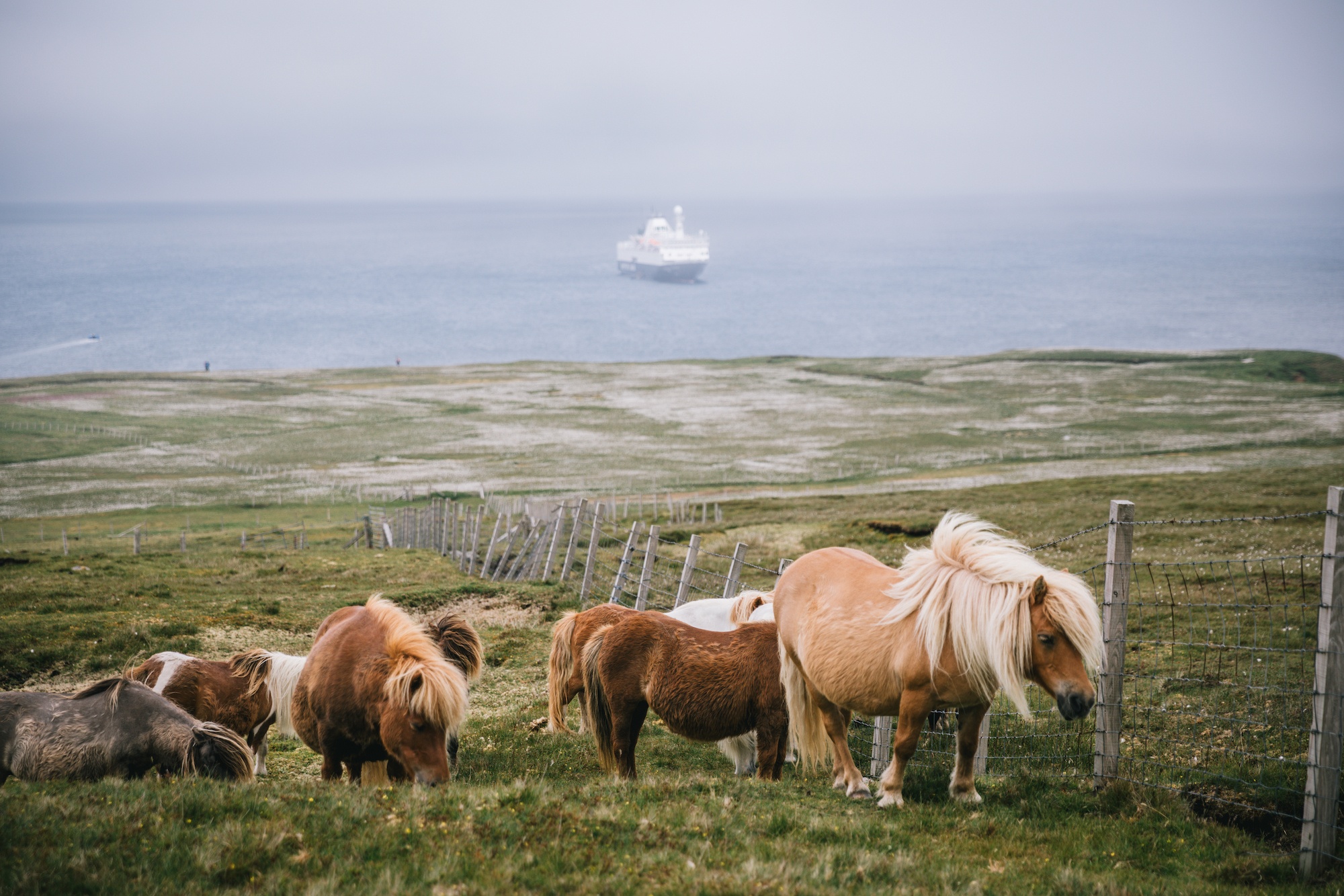 Visit the Arctic