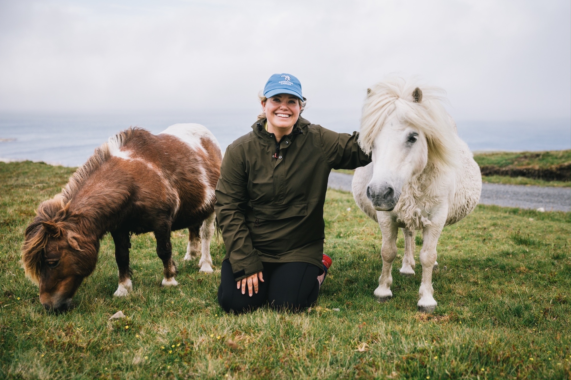 Visit the Arctic