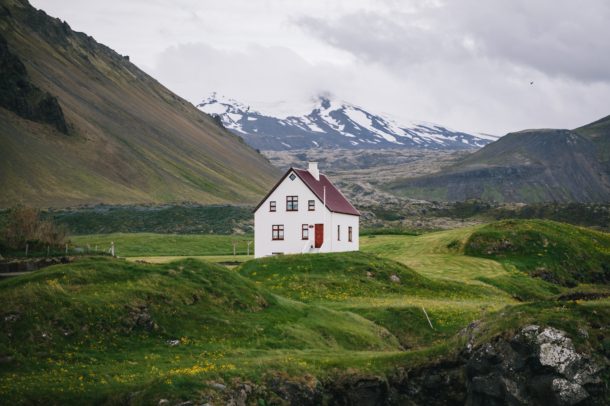 visit iceland by sea
