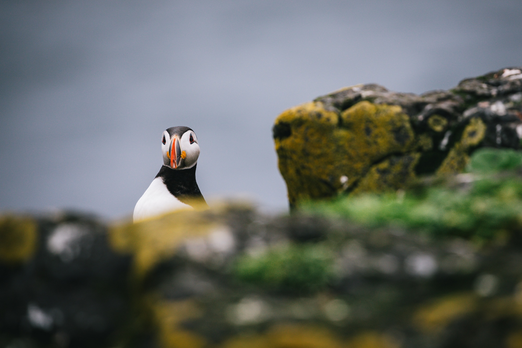 grimsey