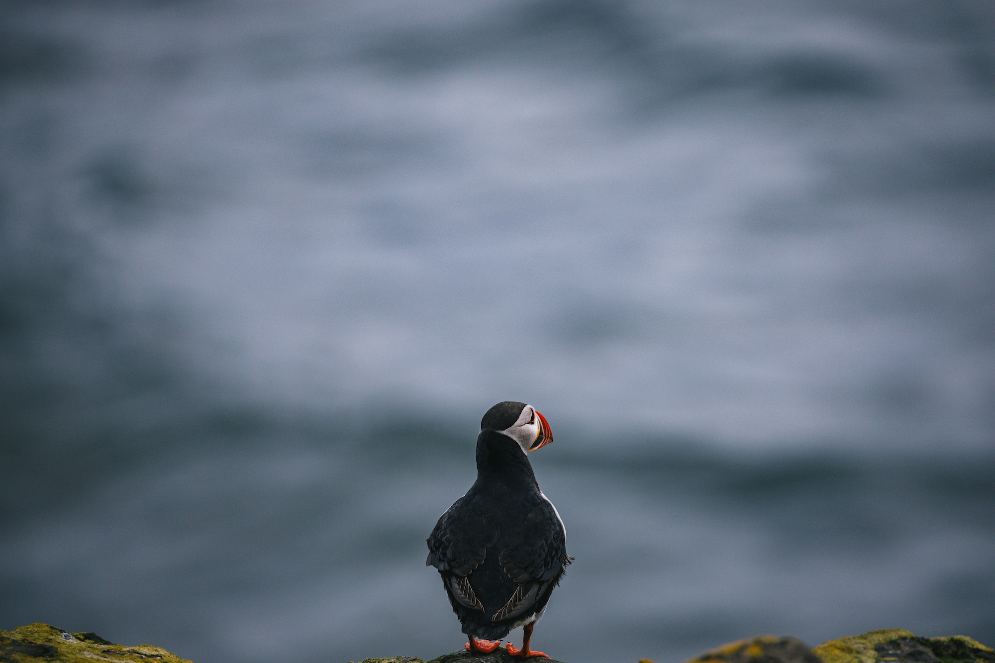 grimsey