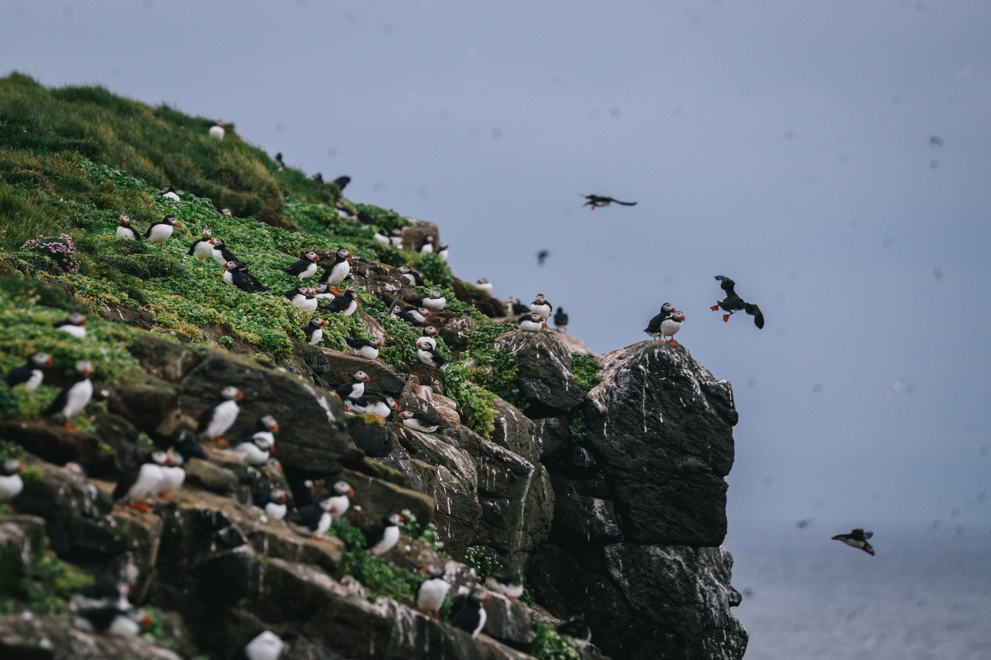 grimsey