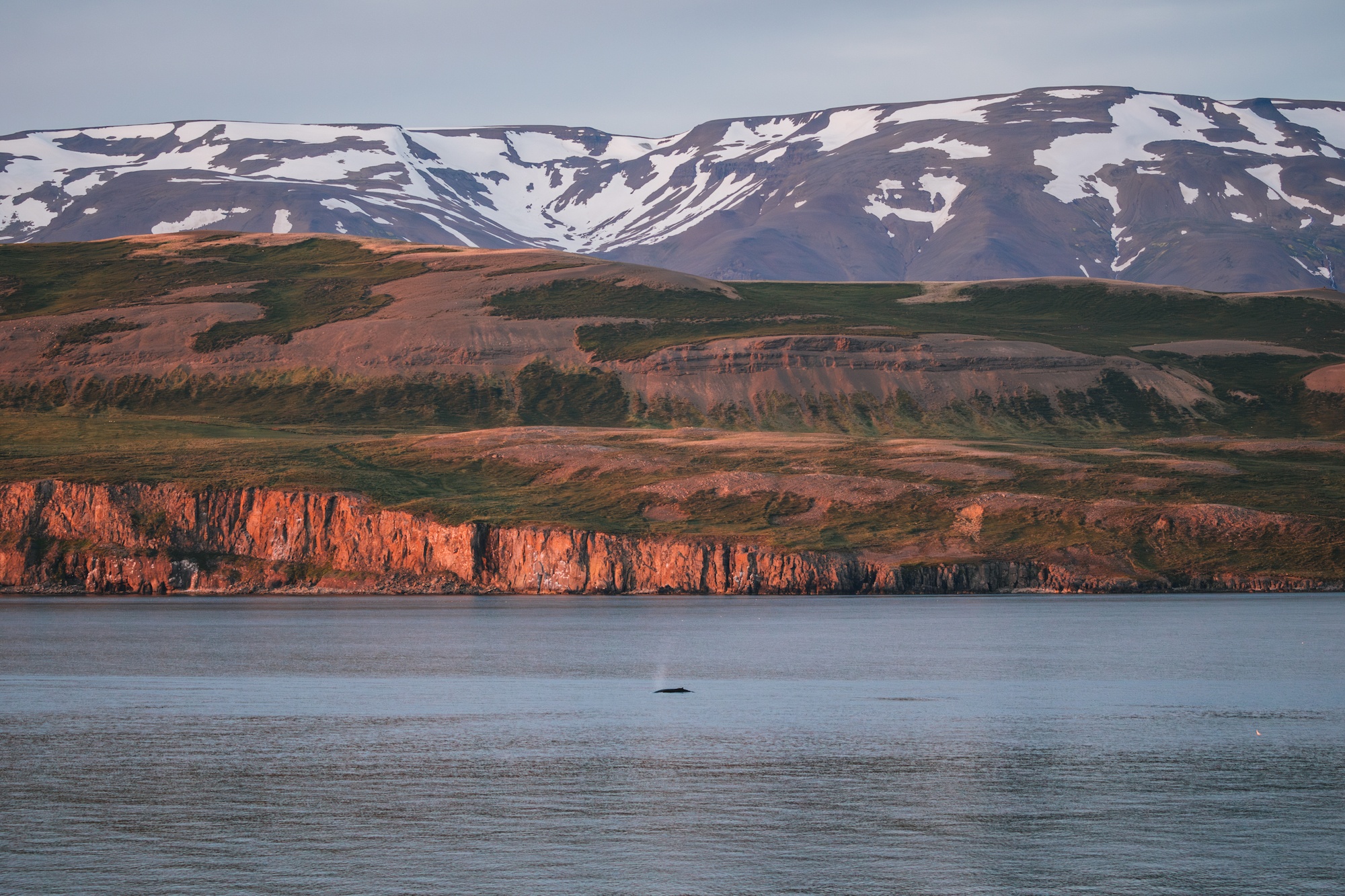 Visit the Arctic