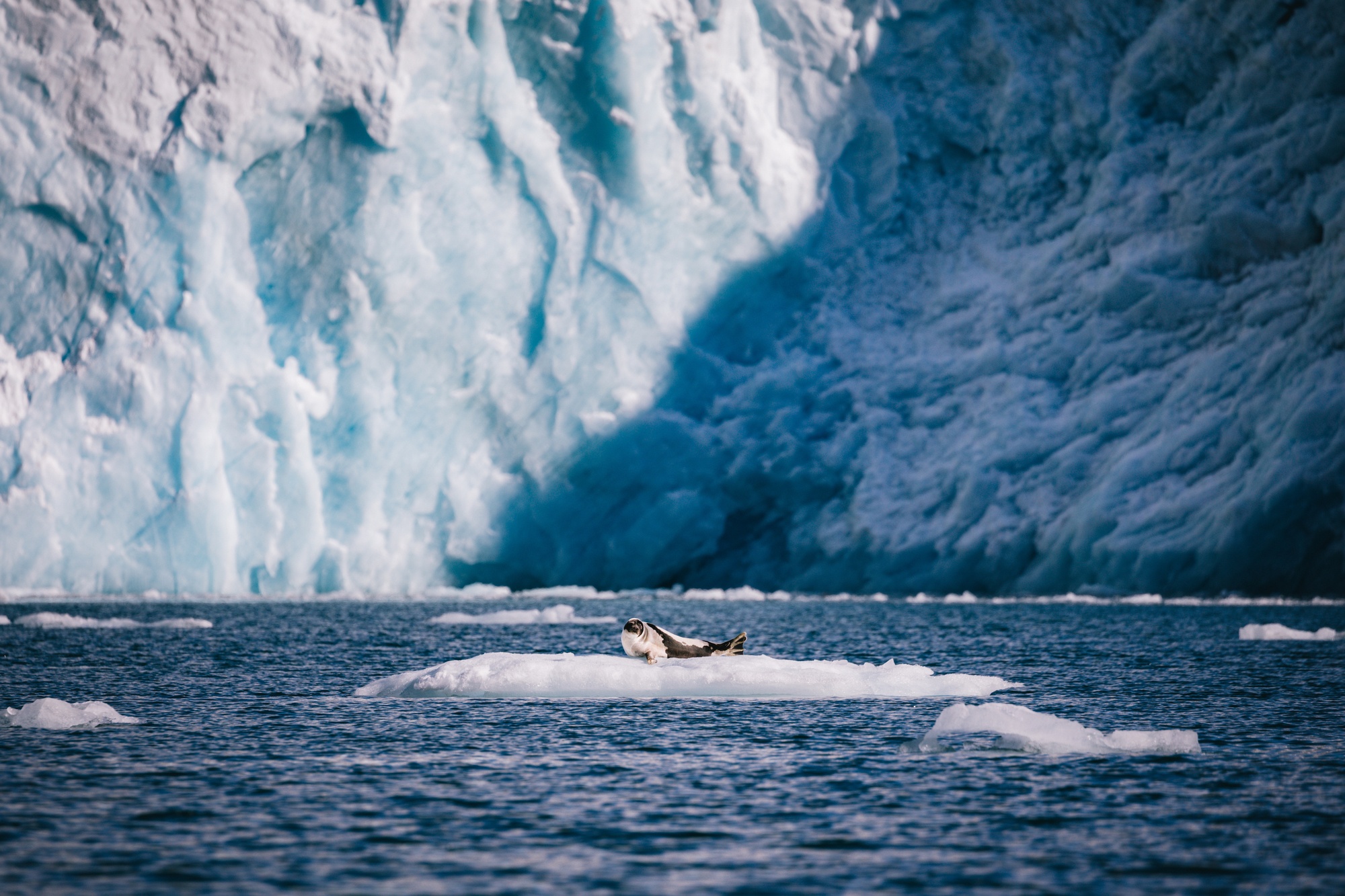 visit Greenland