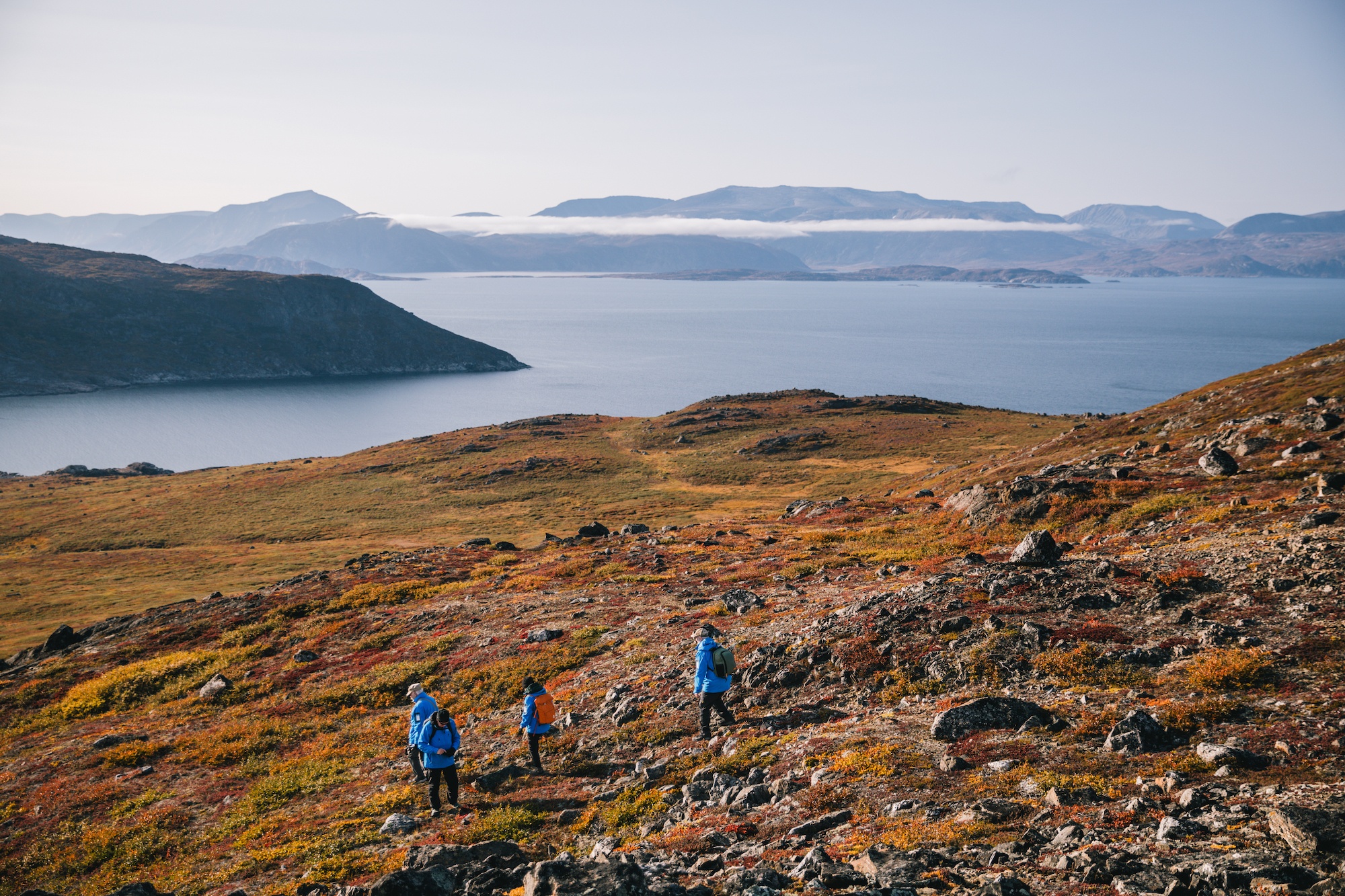 Visit the Arctic