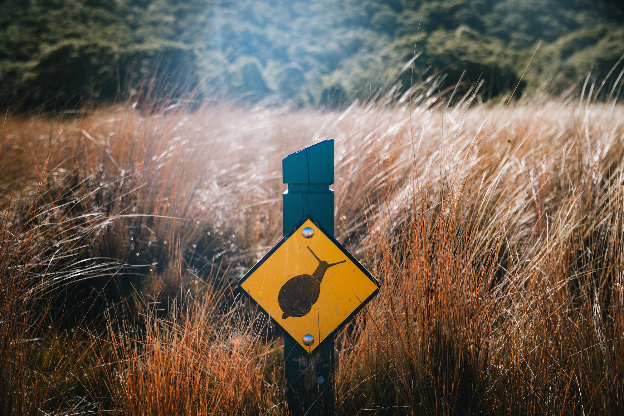 The Heaphy Track