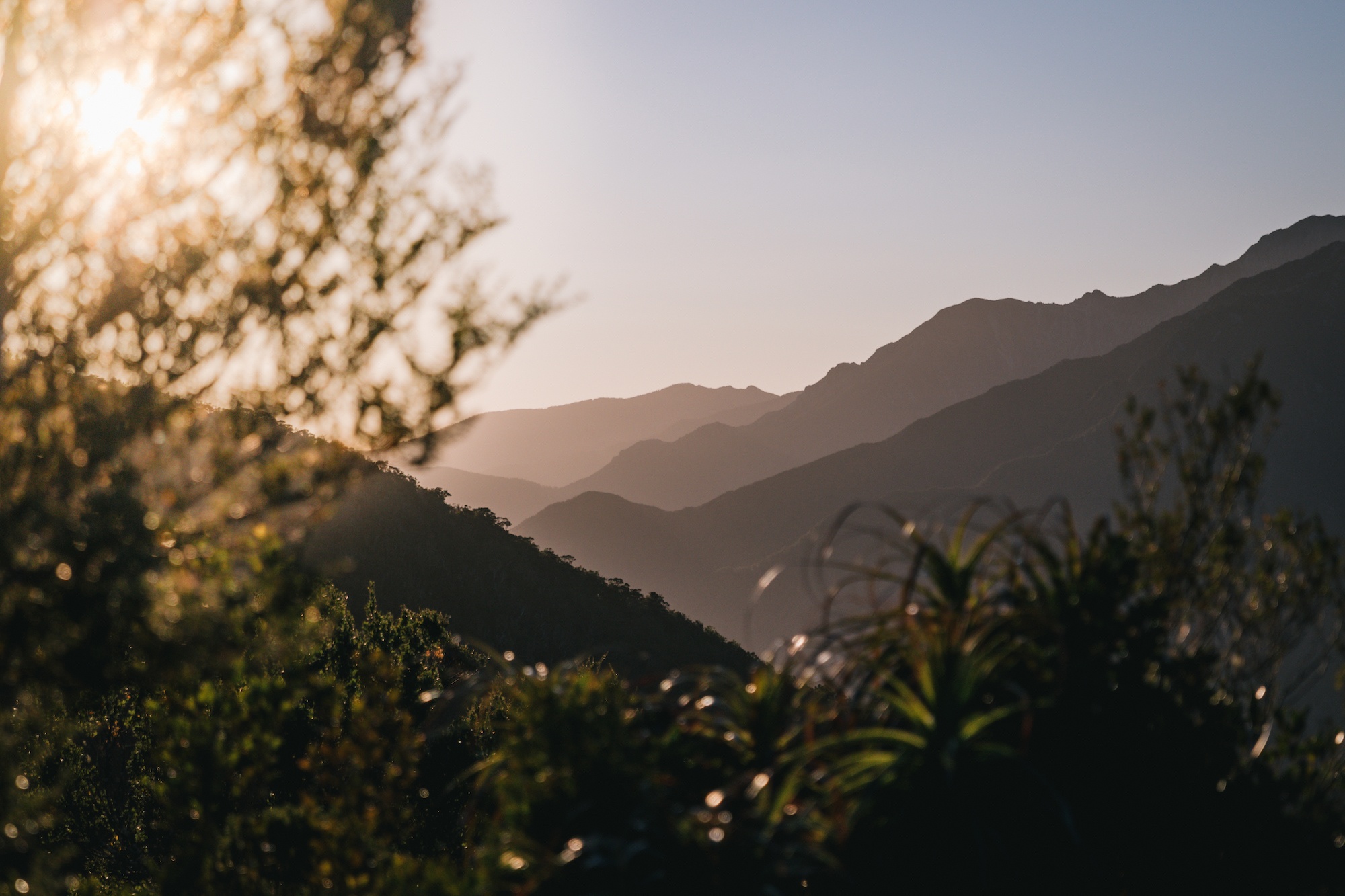 The Heaphy Track