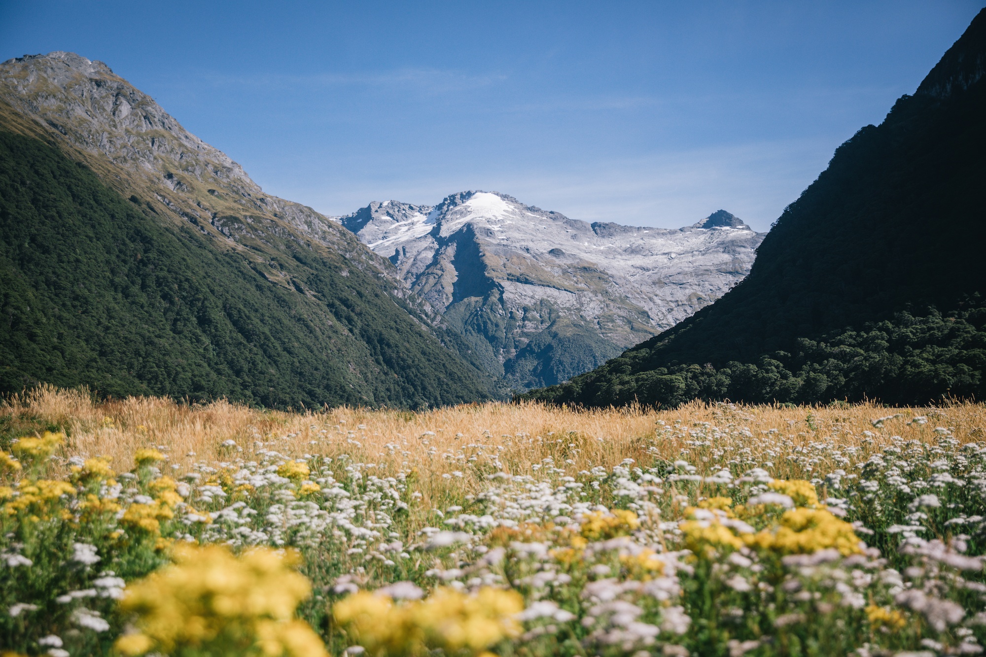 living in Wanaka