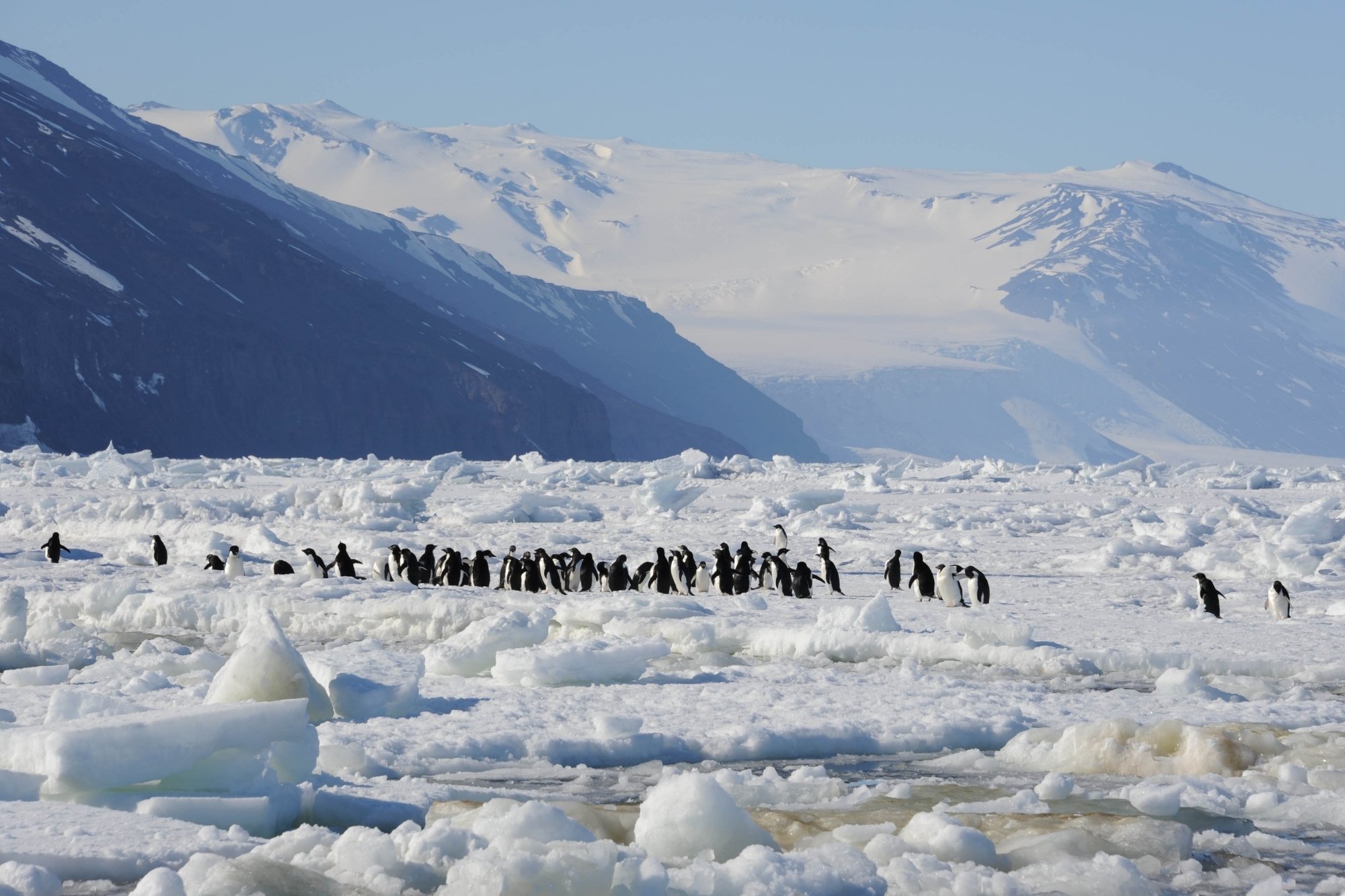 Antarctica app