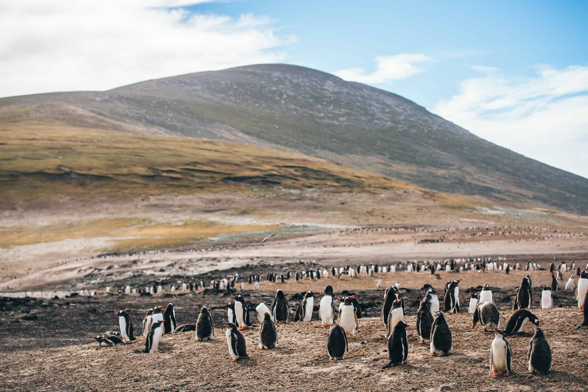 trip to Antarctica