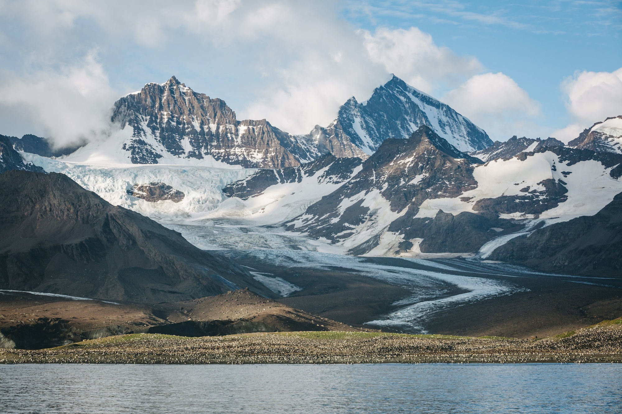 antarctic studies