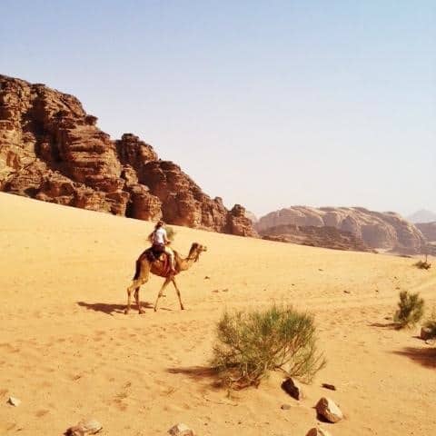 falling off a camel