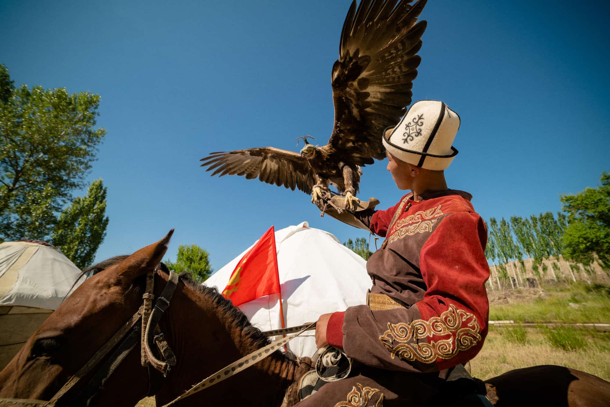 eagle hunting