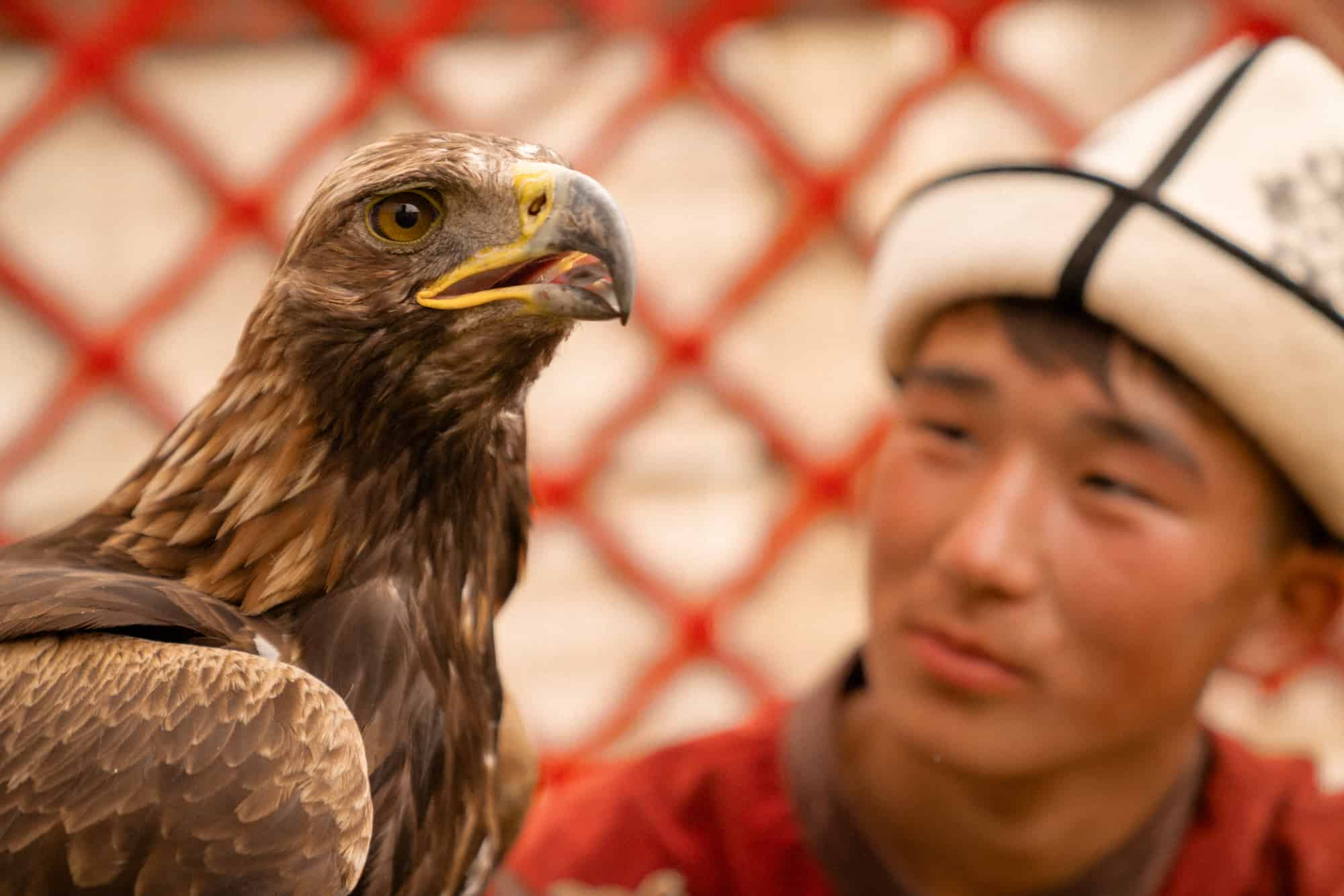 eagle hunting