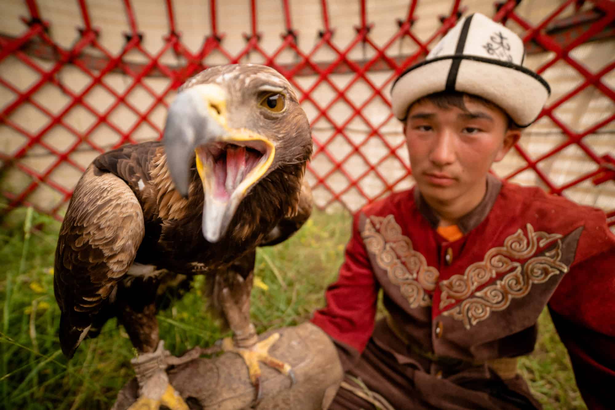 eagle hunting