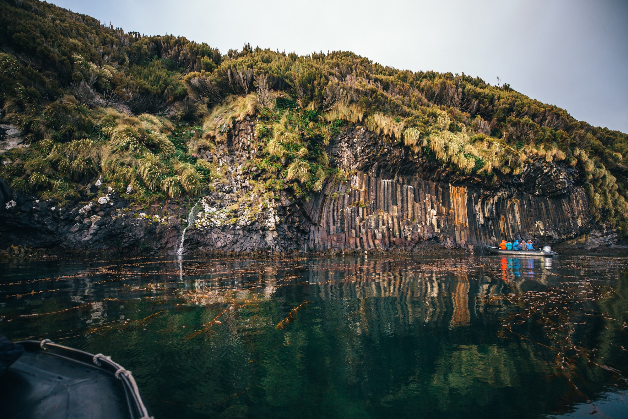 campbell island