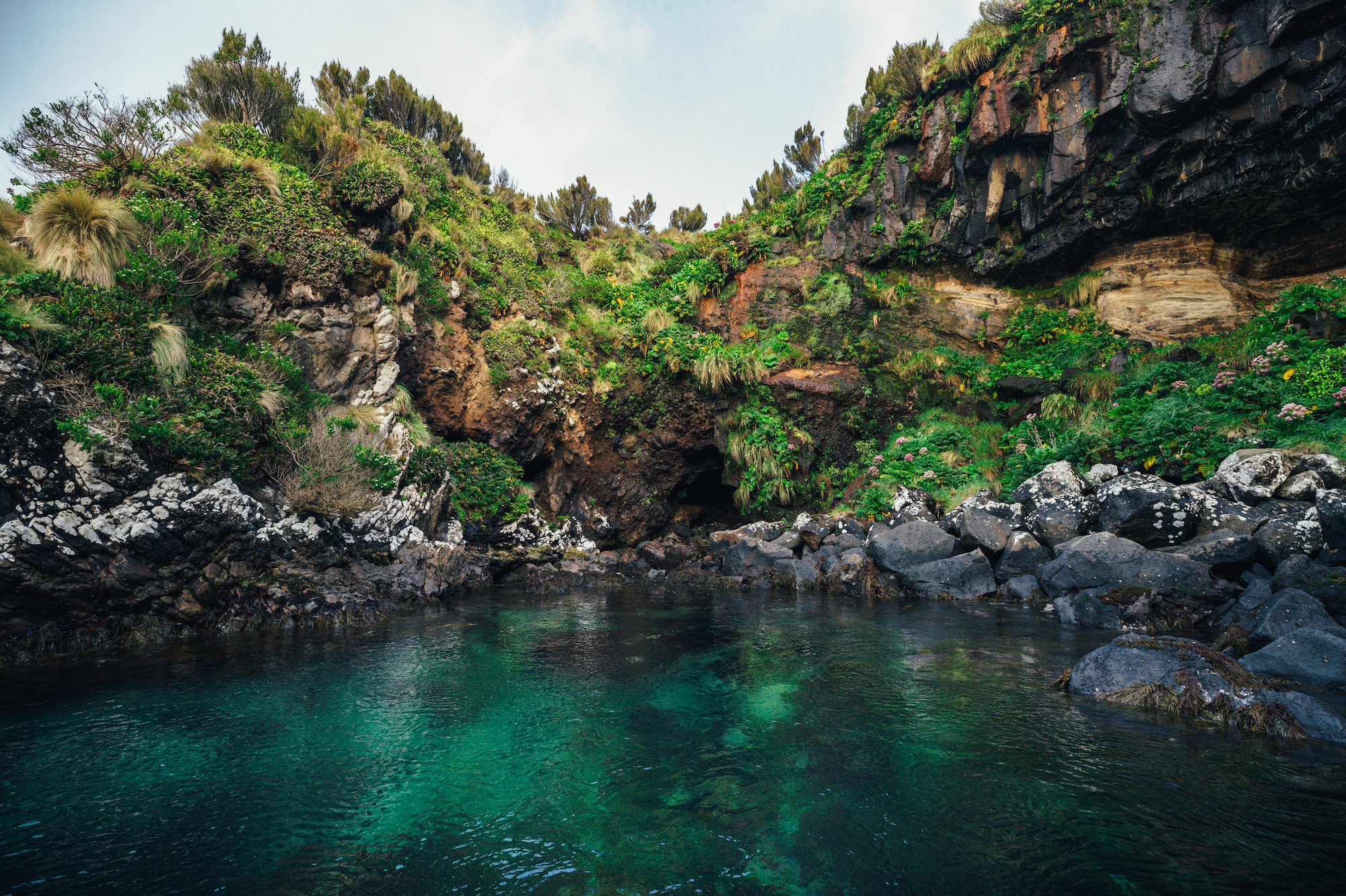 campbell island