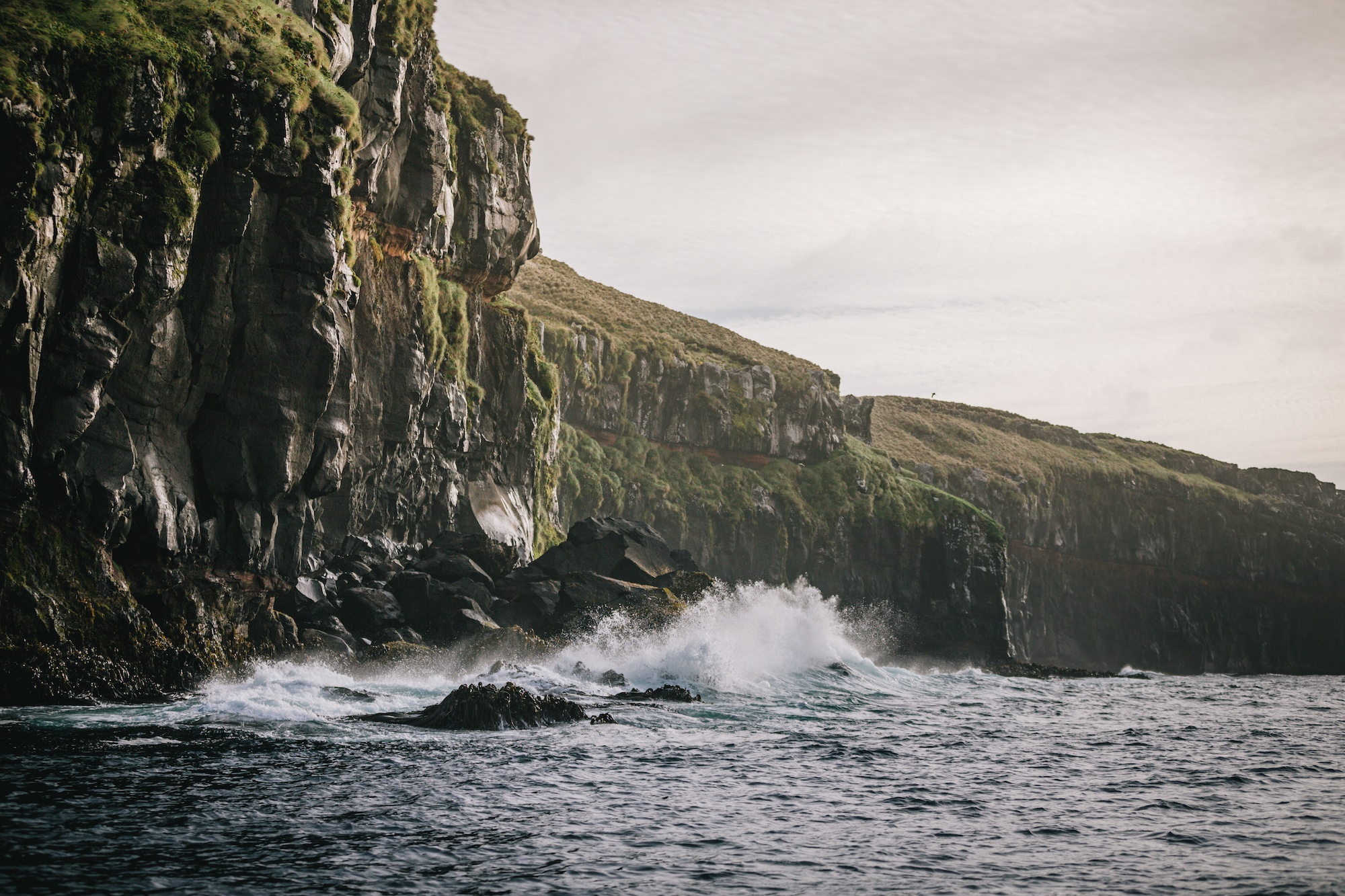 campbell island