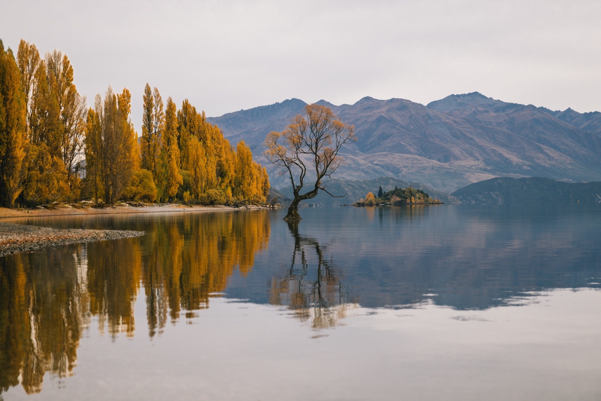 living in Wanaka