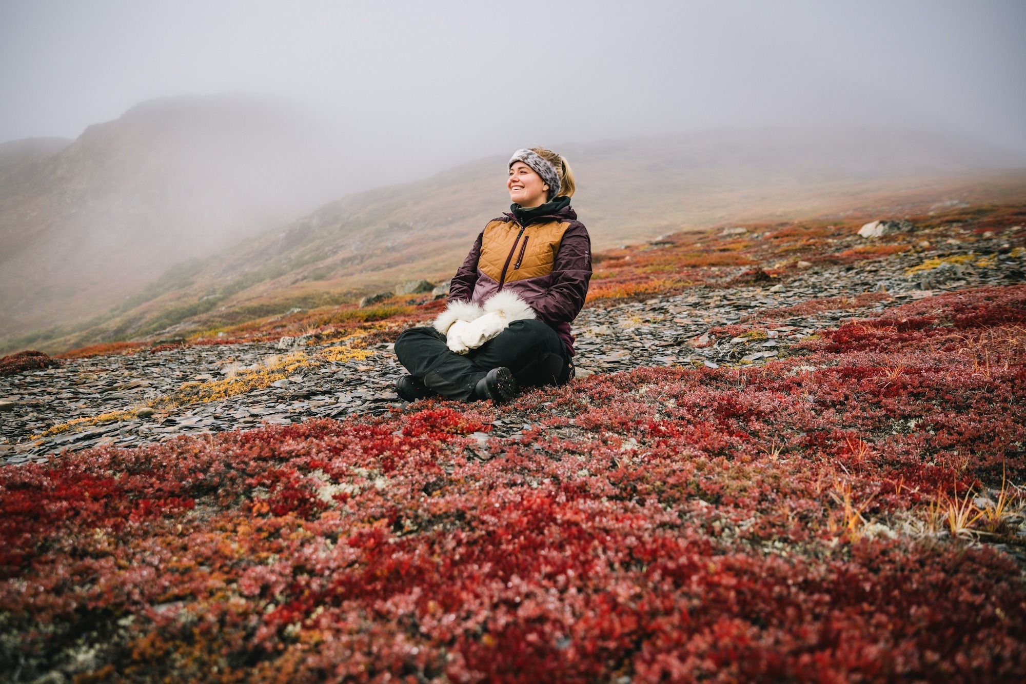 Visit the Arctic