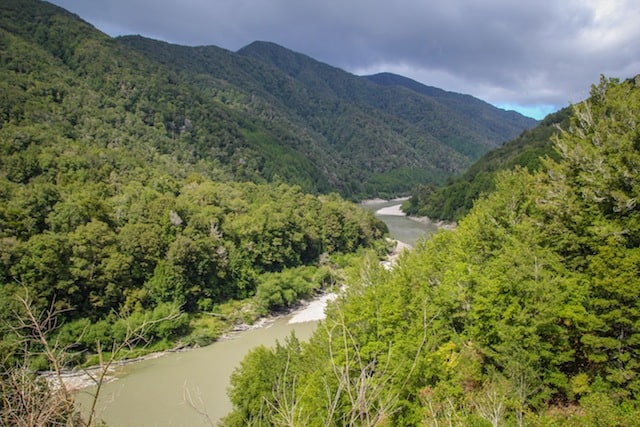 new zealand slang