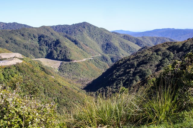 New Zealand expat
