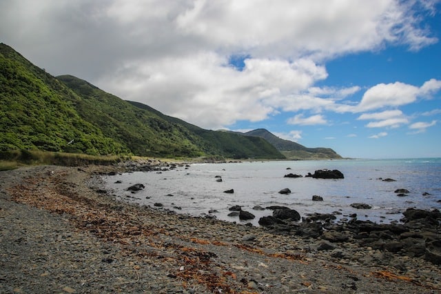 new zealand slang