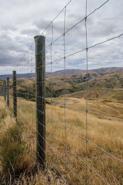 new zealand slang