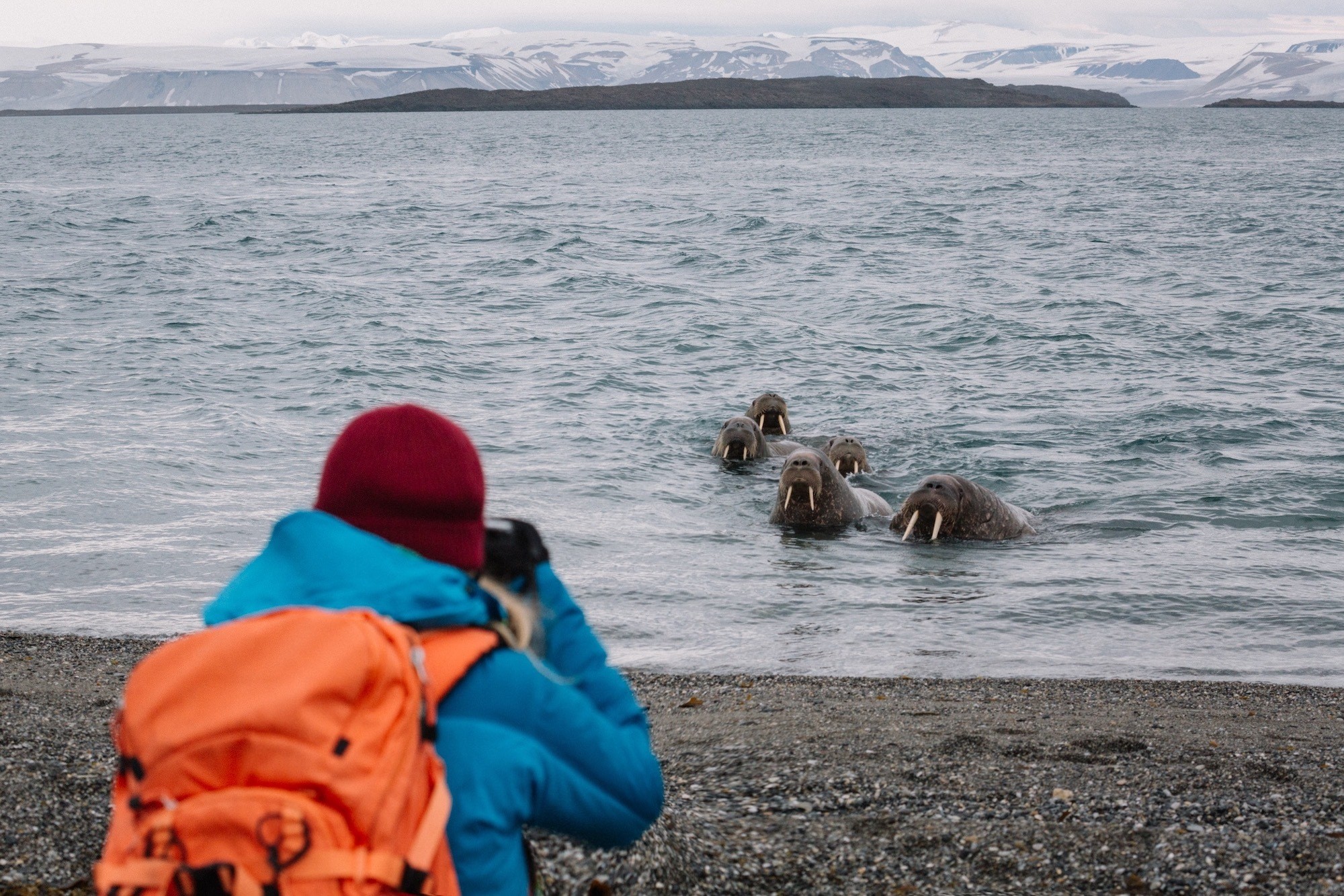 polar travel