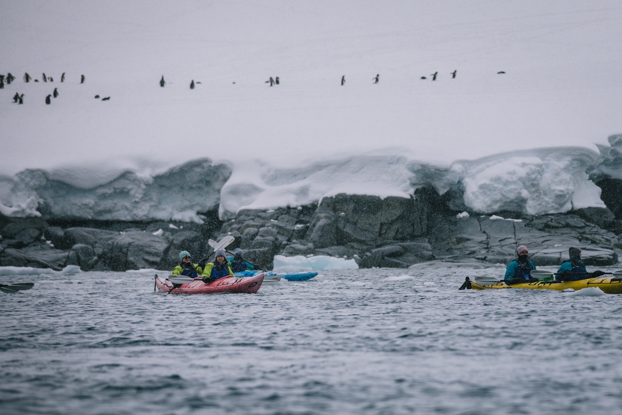 antarctica photos