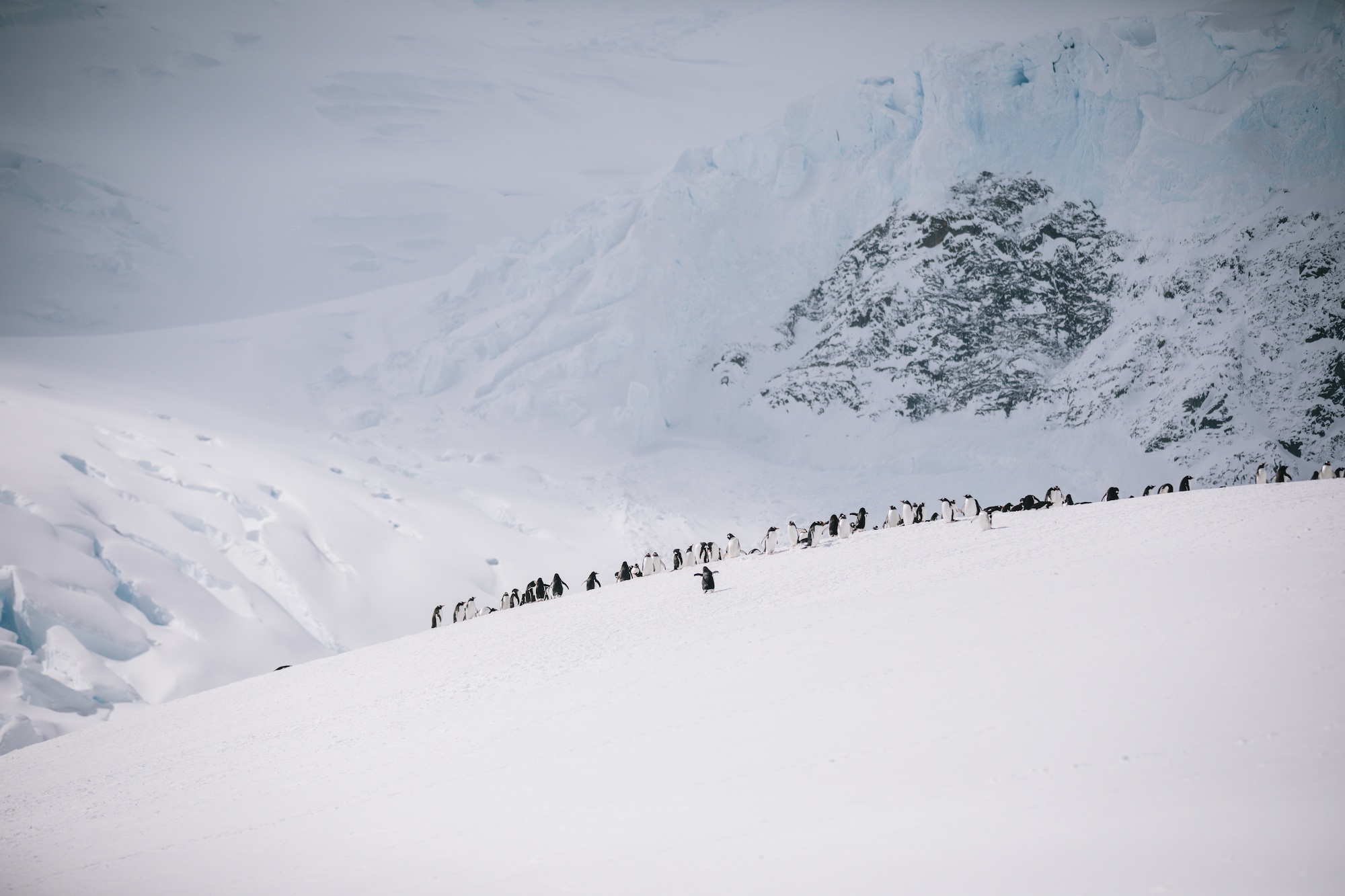 Antarctica is life-changing