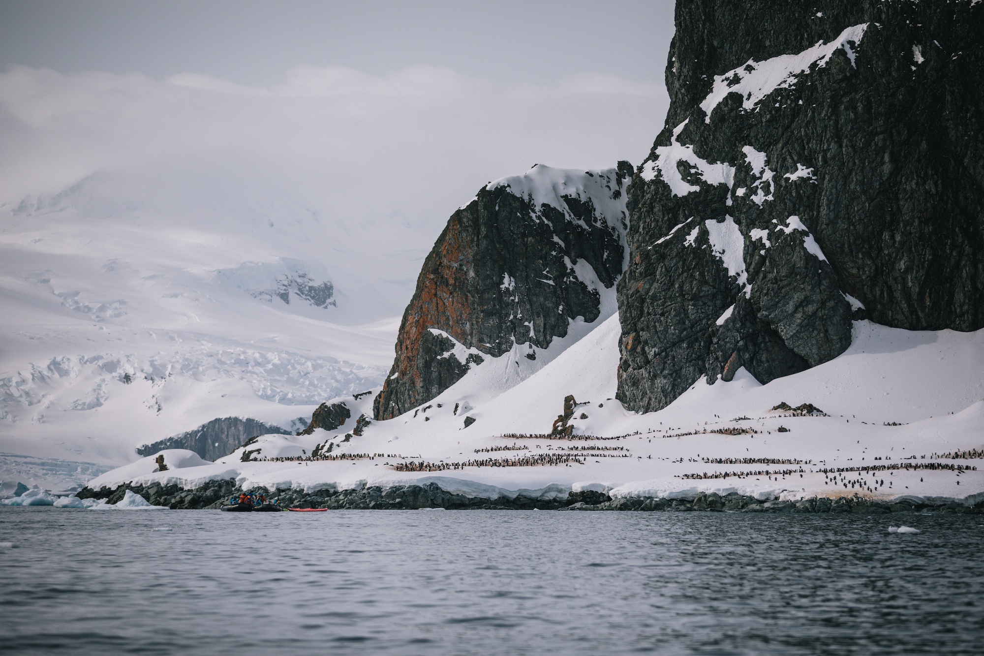 antarctica photos