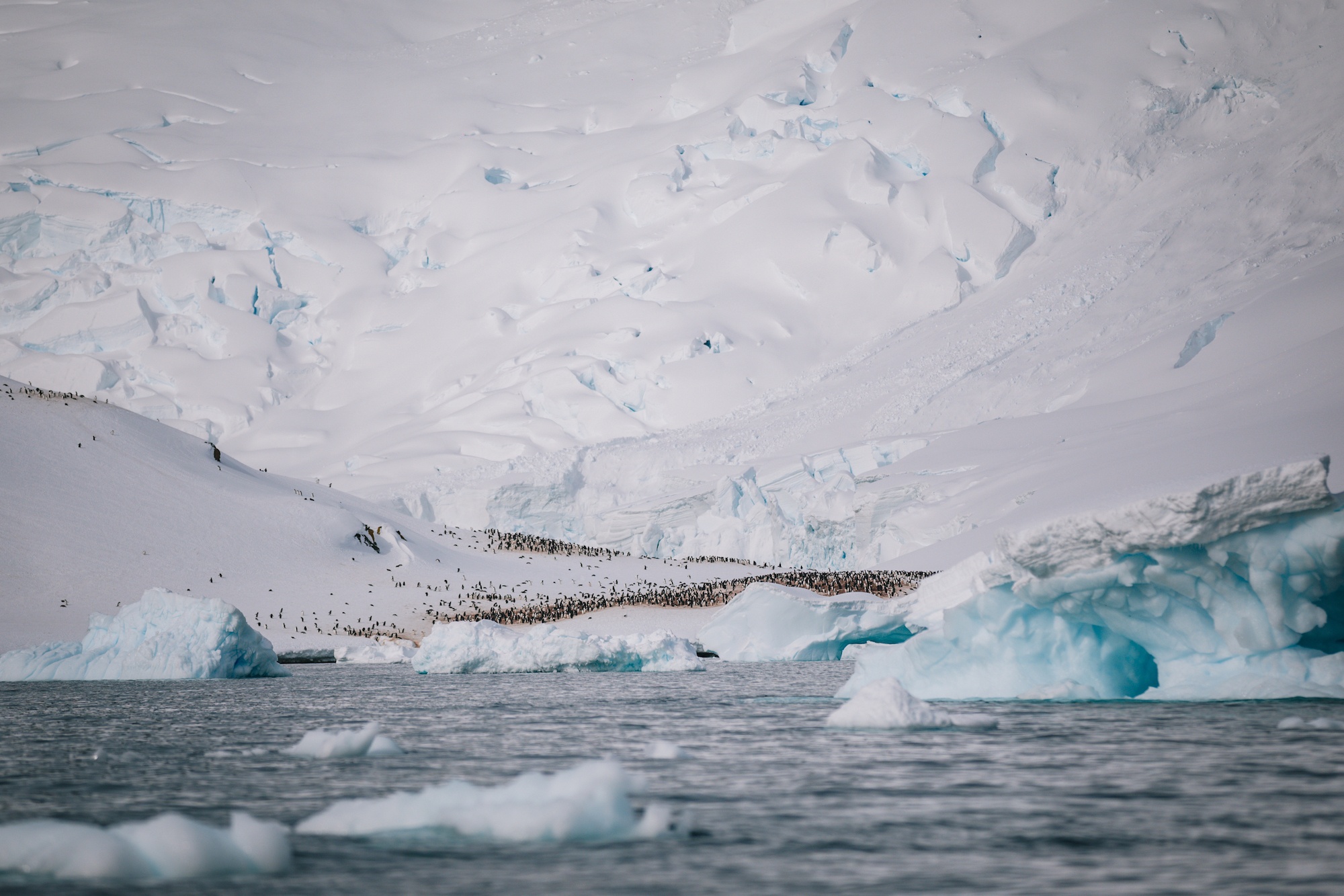 Antarctica is life-changing