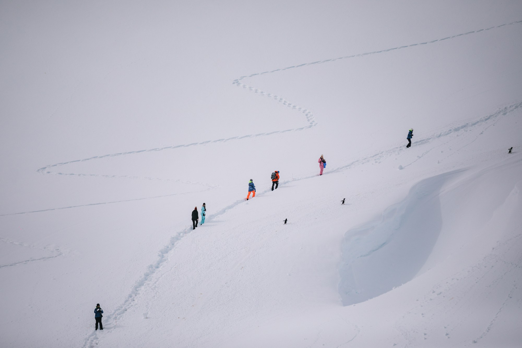 antarctica photos