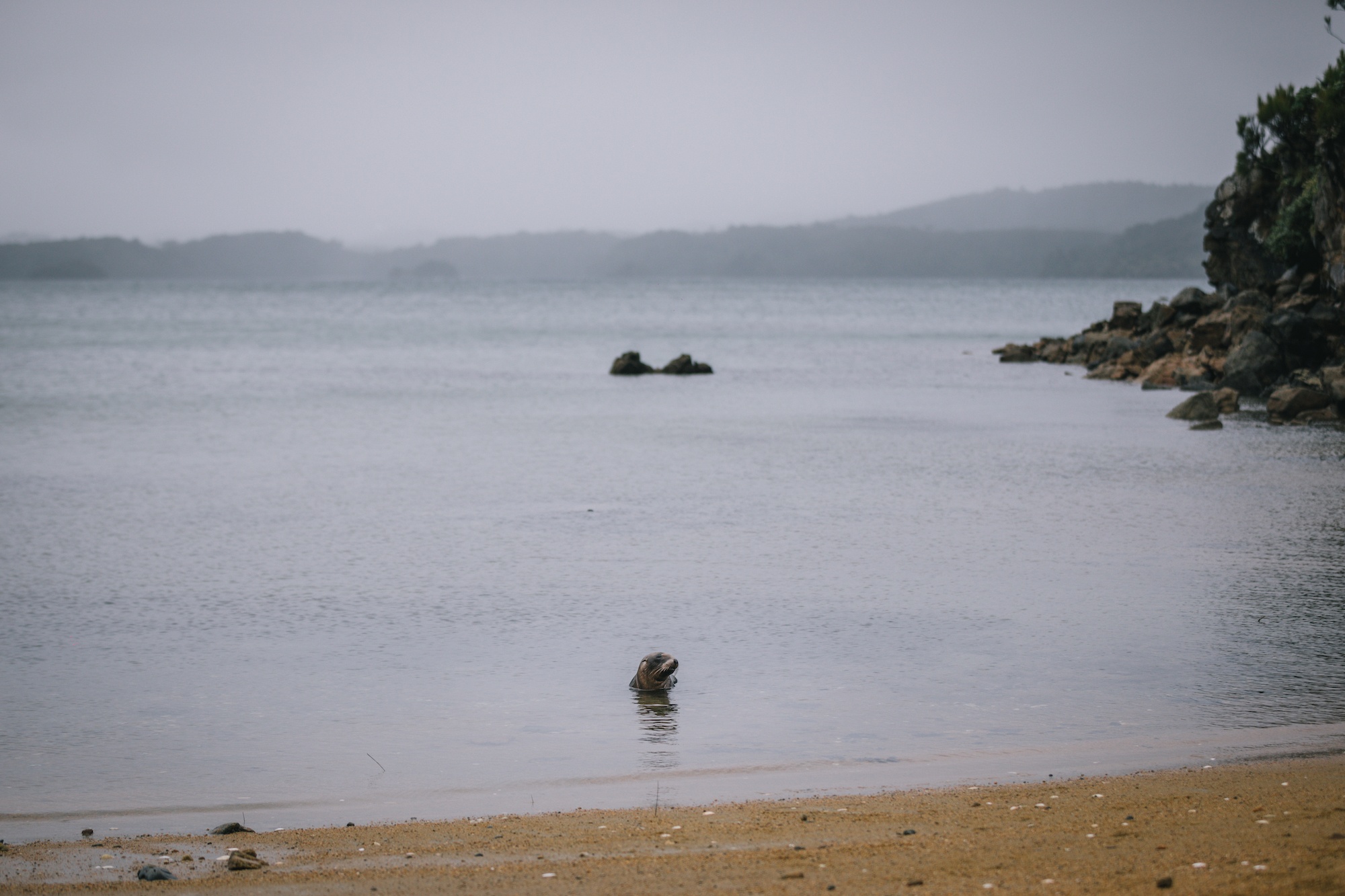 Ulva Island