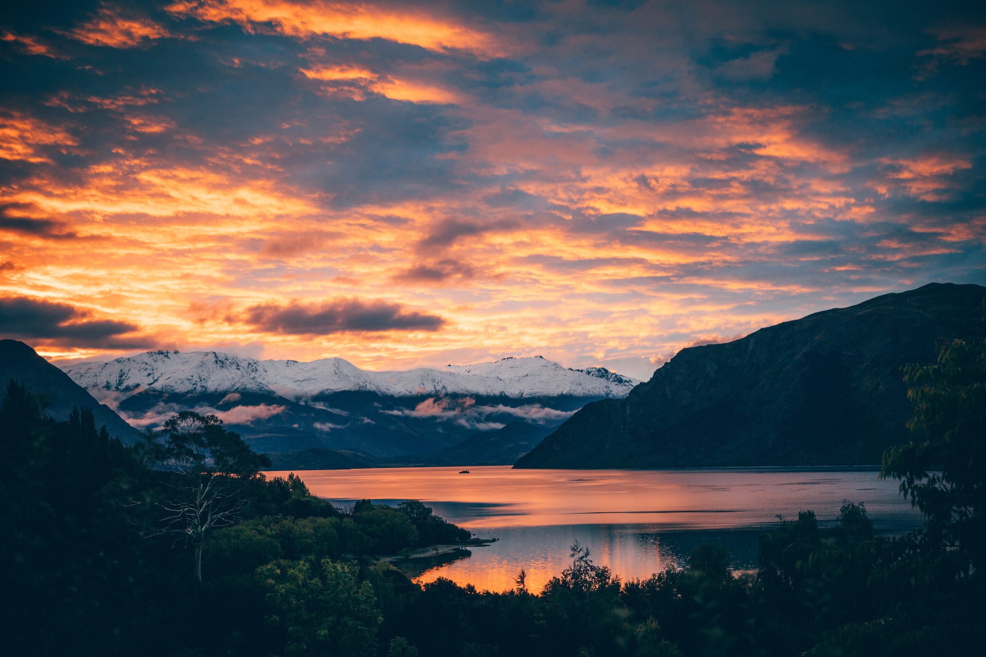 living in Wanaka